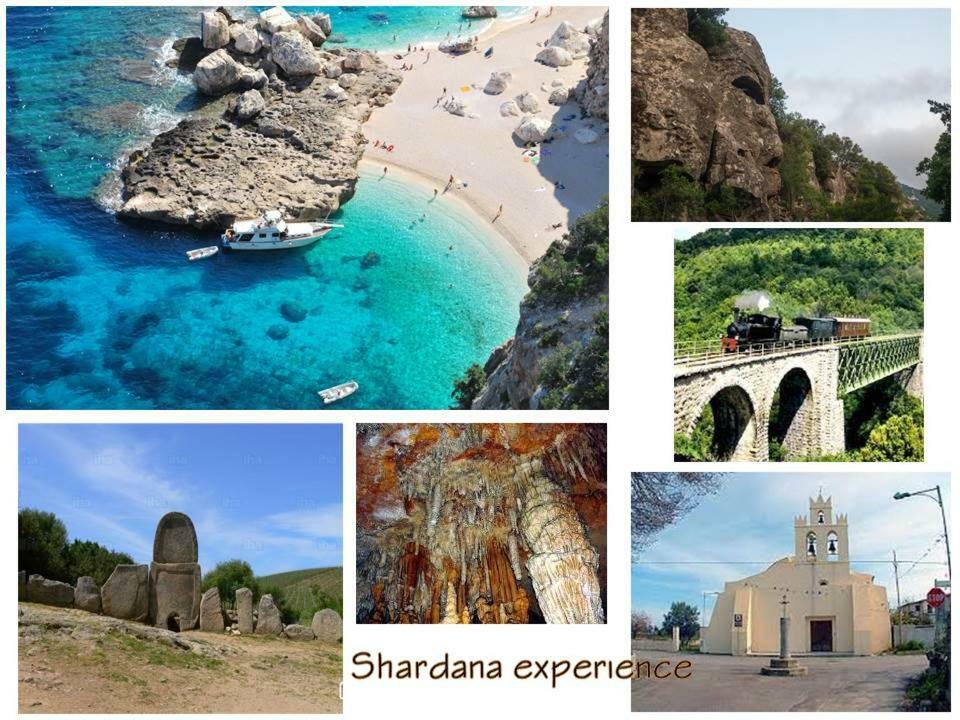 Shardana Blu - Net Zero Home Holiday Girasole Esterno foto