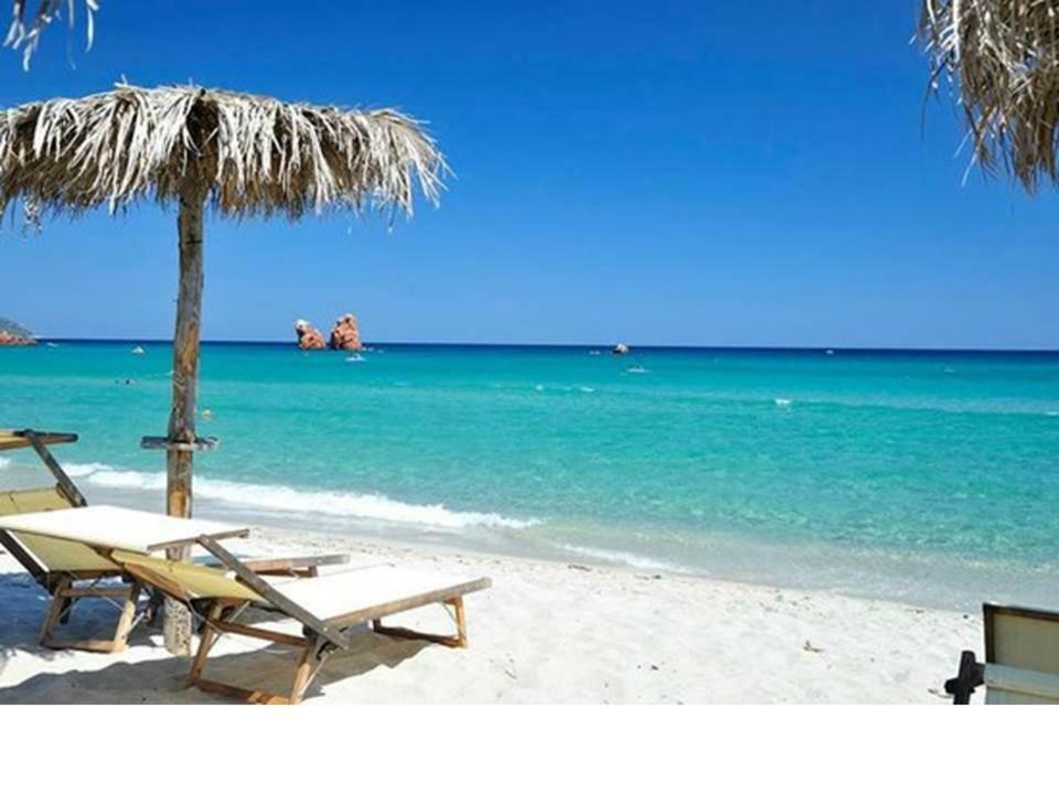 Shardana Blu - Net Zero Home Holiday Girasole Esterno foto